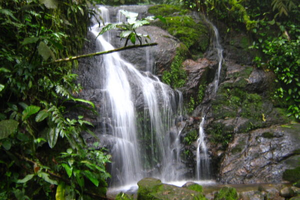 Trilha da Cachoeira Escondida